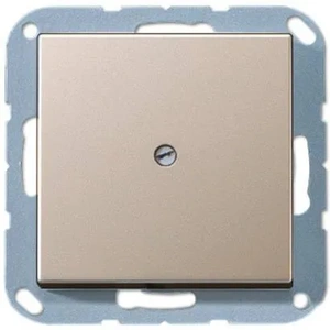 Изображение Вывод кабеля с суппортом A 550 шампань A590ACH Jung