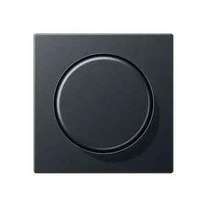 Изображение Накладка для поворотного диммера ECO Profi  антрацит EP1540BFAN Jung