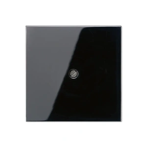 Изображение Вывод кабеля с суппортом LS plus черное стекло LS990ASW Jung