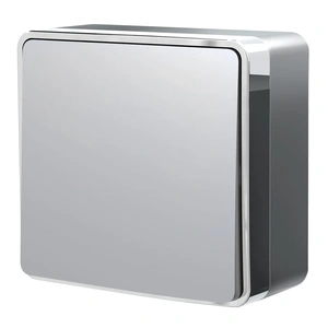 Изображение Выключатель одноклавишный Gallant (серебряный) W5010006